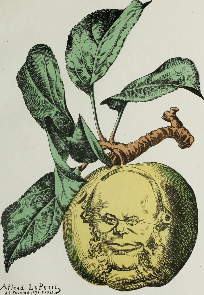 An illustration from Fleurs fruits & legumes du jour, 1871, leaf 50