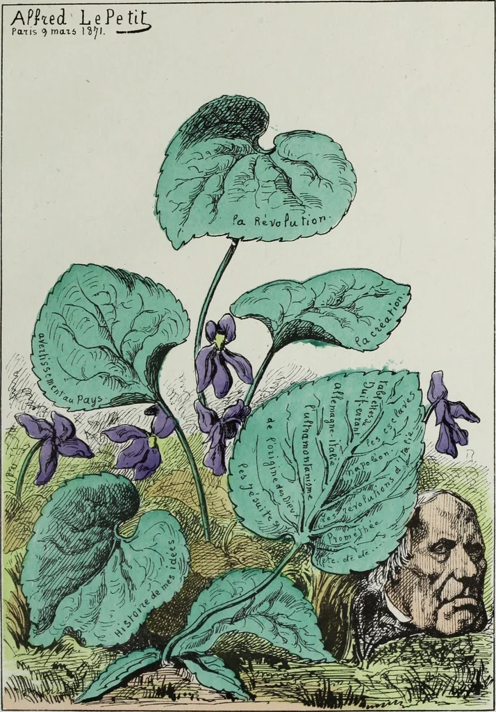 An illustration from Fleurs fruits & legumes du jour, 1871, leaf 60
