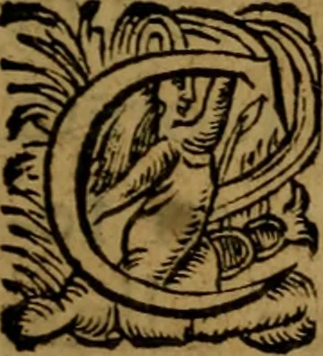 An illustration from Flodoardi presbyteri ecclesiae Remensis canonici Historiarum eiusdem ecclesiae libri IV, 1611, leaf 20