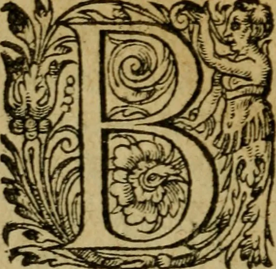 An illustration from Flodoardi presbyteri ecclesiae Remensis canonici Historiarum eiusdem ecclesiae libri IV, 1611, leaf 203
