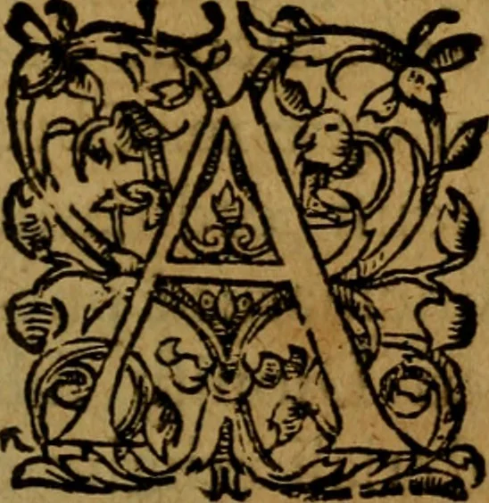 An illustration from Flodoardi presbyteri ecclesiae Remensis canonici Historiarum eiusdem ecclesiae libri IV, 1611, leaf 322