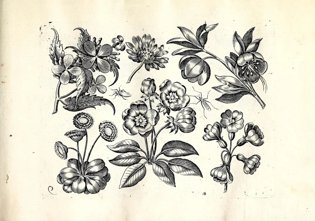 An illustration from Florae deae inter patrios & exoticos flores sedentis artificiosa delineatio, 1630, leaf 21
