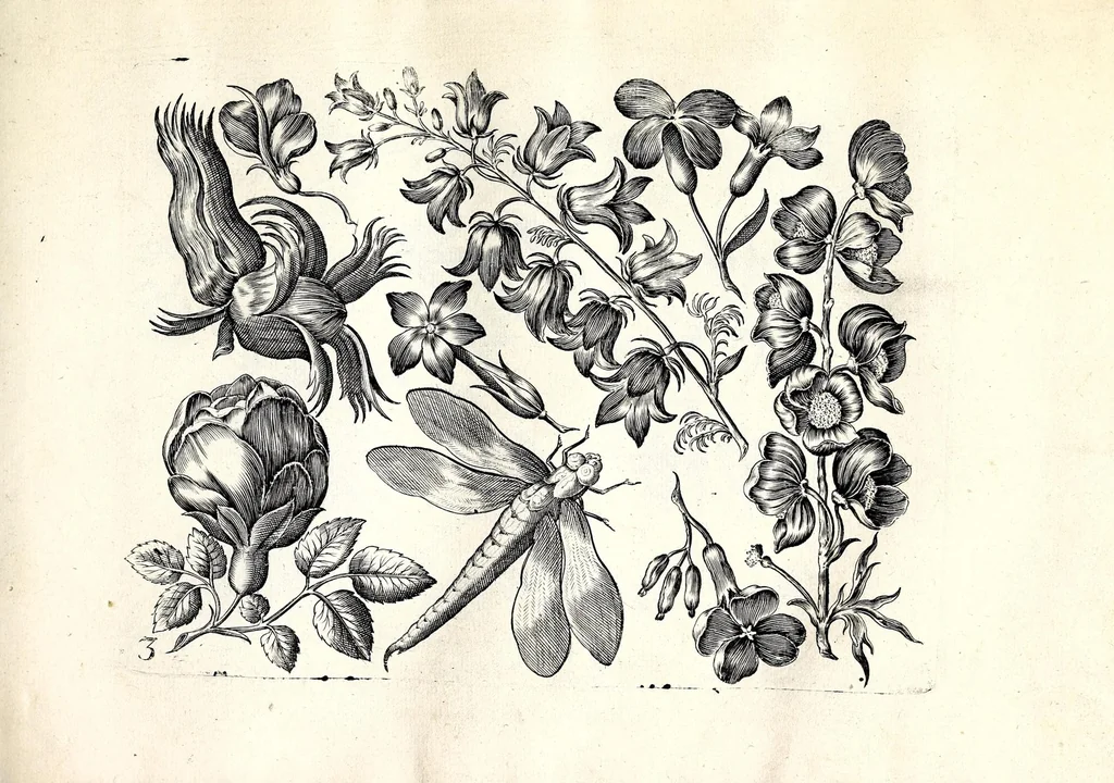 An illustration from Florae deae inter patrios & exoticos flores sedentis artificiosa delineatio, 1630, leaf 9