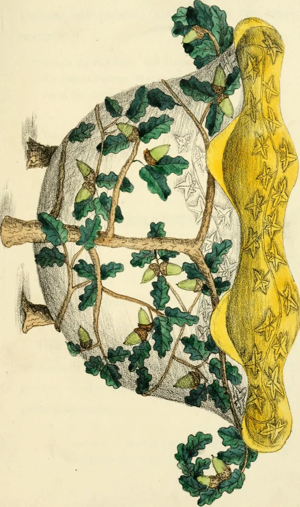 An illustration from Floral emblems, 1825, leaf 216
