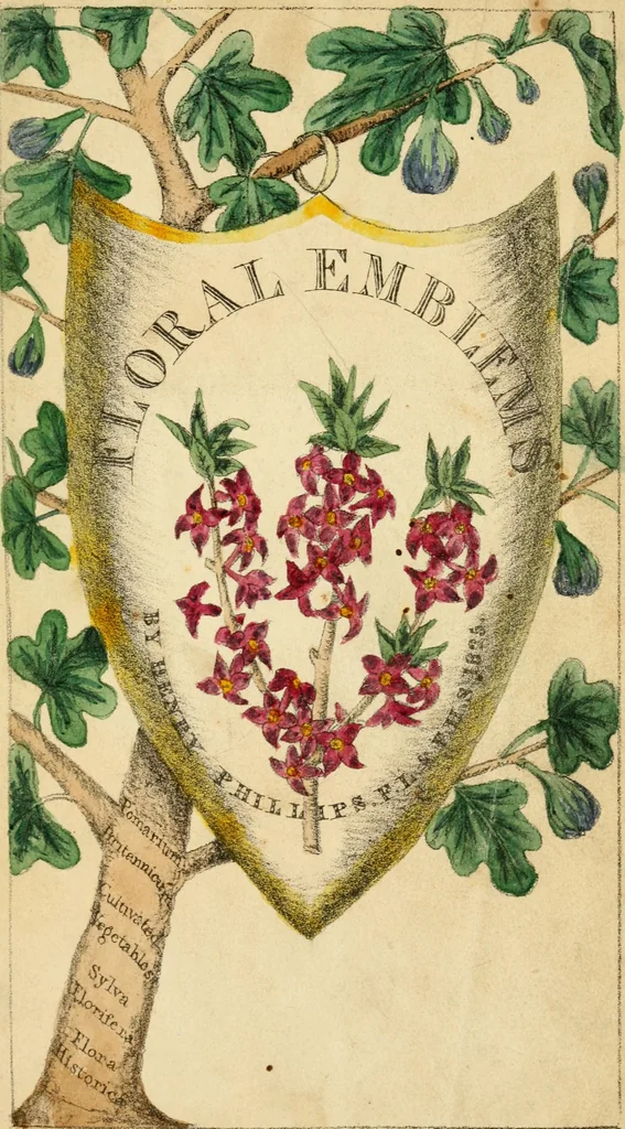 An illustration from Floral emblems, 1825, leaf 6