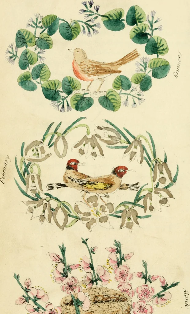 An illustration from Floral emblems, 1825, leaf 69