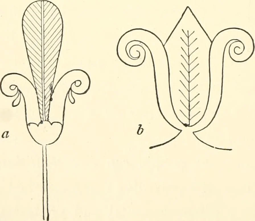 An illustration from The flora of the Assyrian monuments and its outcomes, 1894, leaf 138