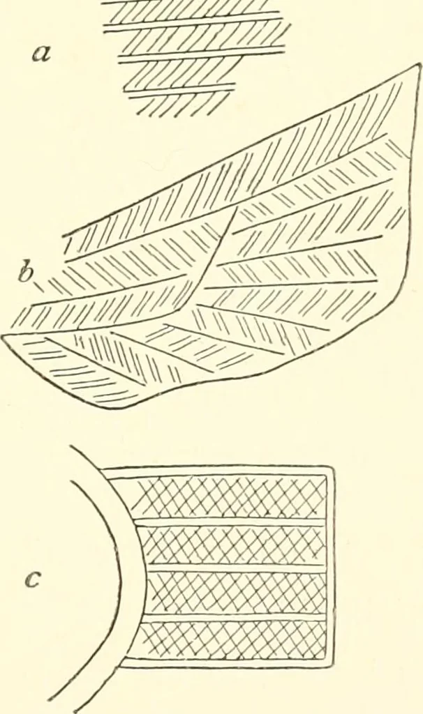 An illustration from The flora of the Assyrian monuments and its outcomes, 1894, leaf 149