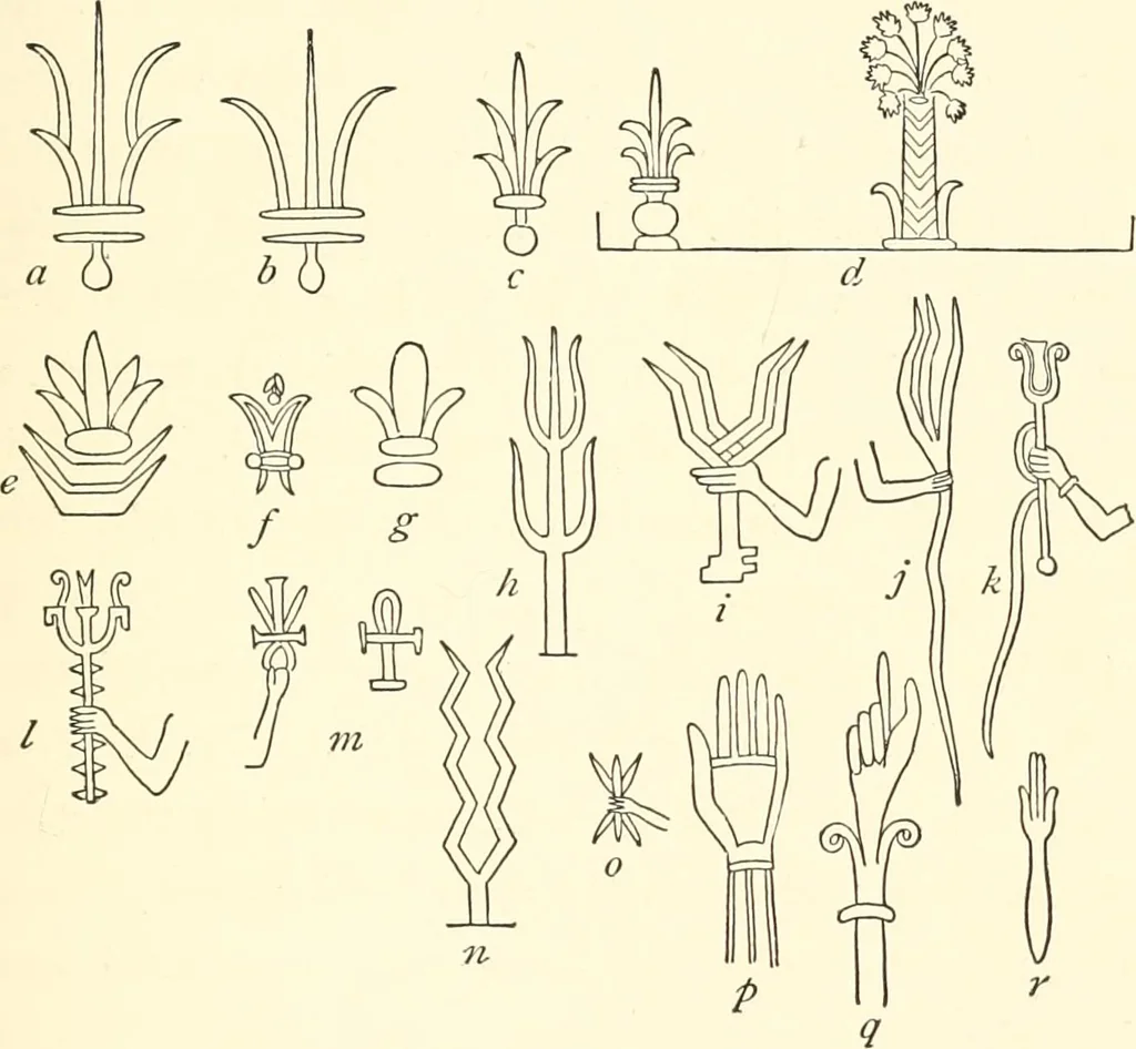 An illustration from The flora of the Assyrian monuments and its outcomes, 1894, leaf 225
