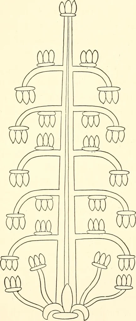 An illustration from The flora of the Assyrian monuments and its outcomes, 1894, leaf 93