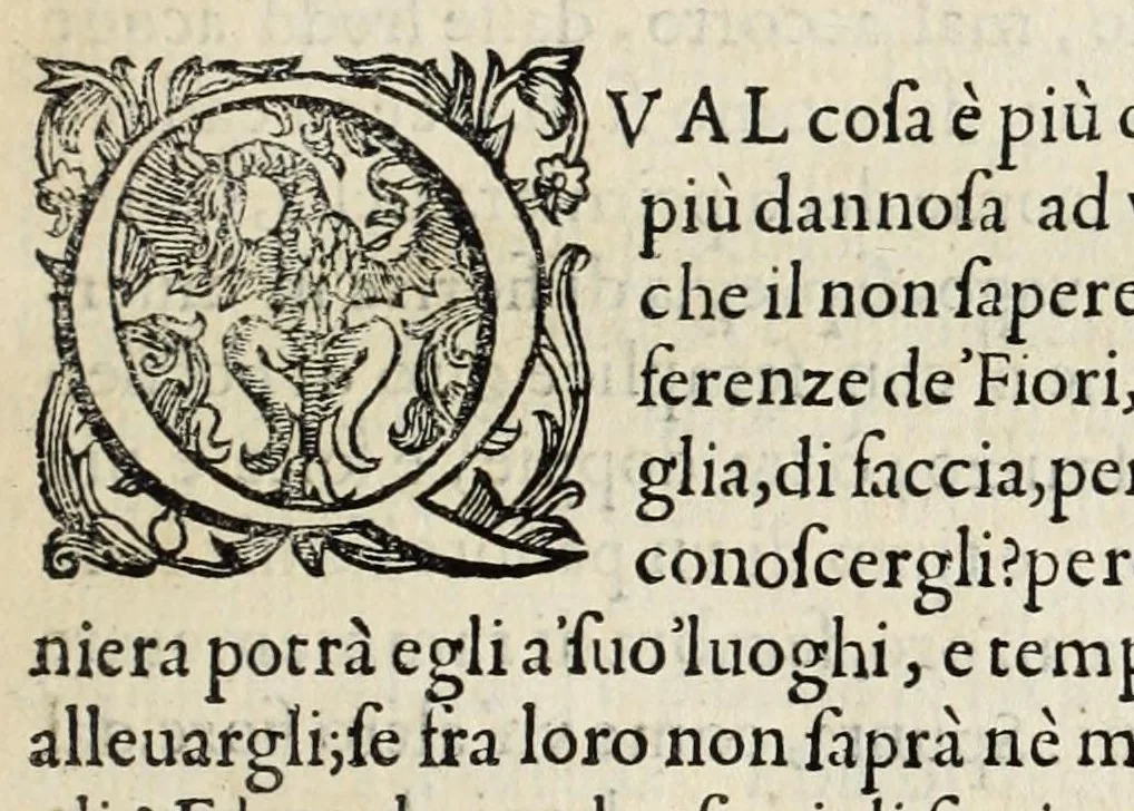An illustration from Flora, ouero, Cultura di fiori, 1638, leaf 121