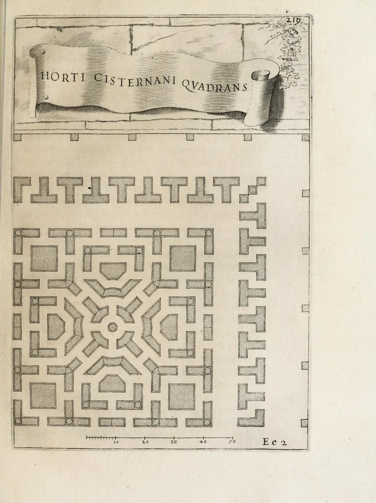 An illustration from Flora, ouero, Cultura di fiori, 1638, leaf 239