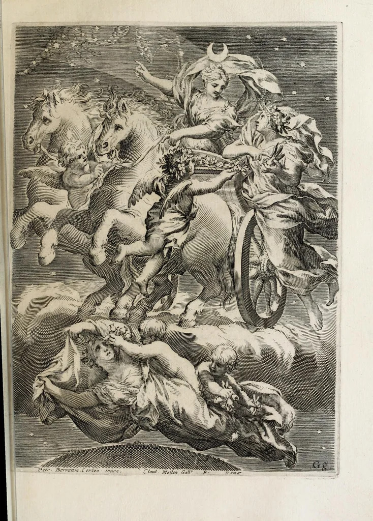 An illustration from Flora, ouero, Cultura di fiori, 1638, leaf 253