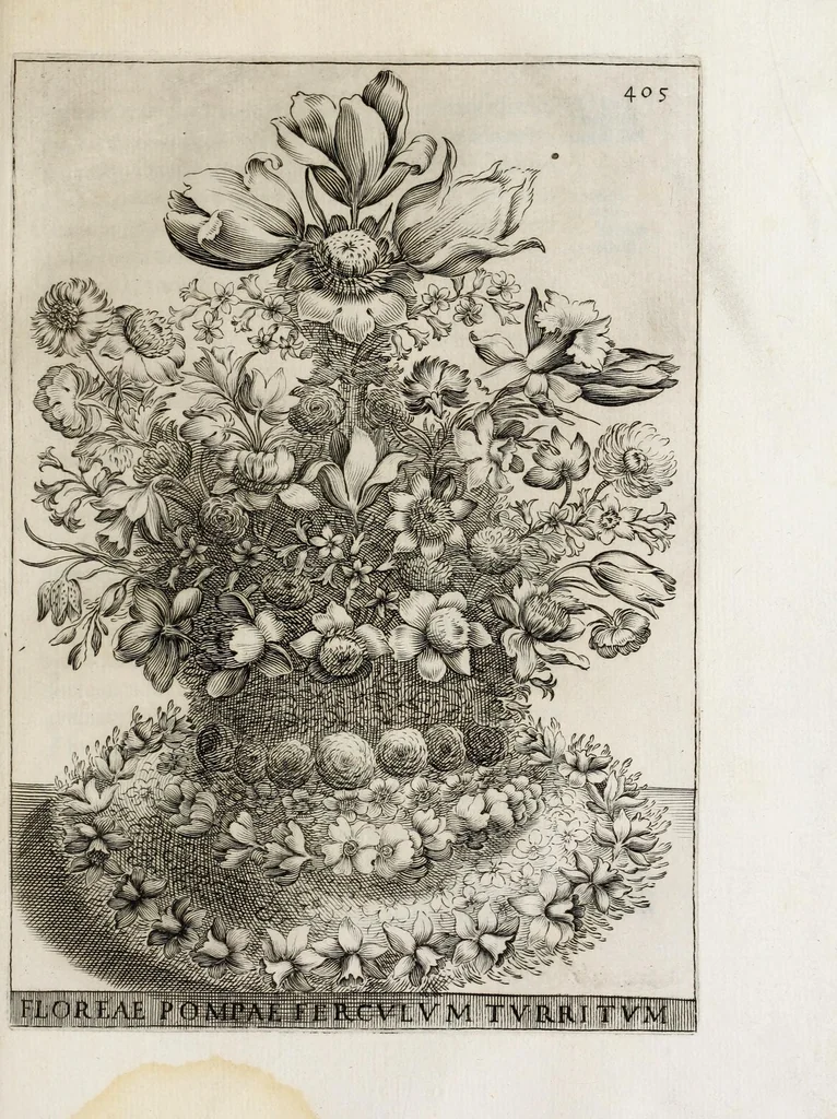 An illustration from Flora, ouero, Cultura di fiori, 1638, leaf 425