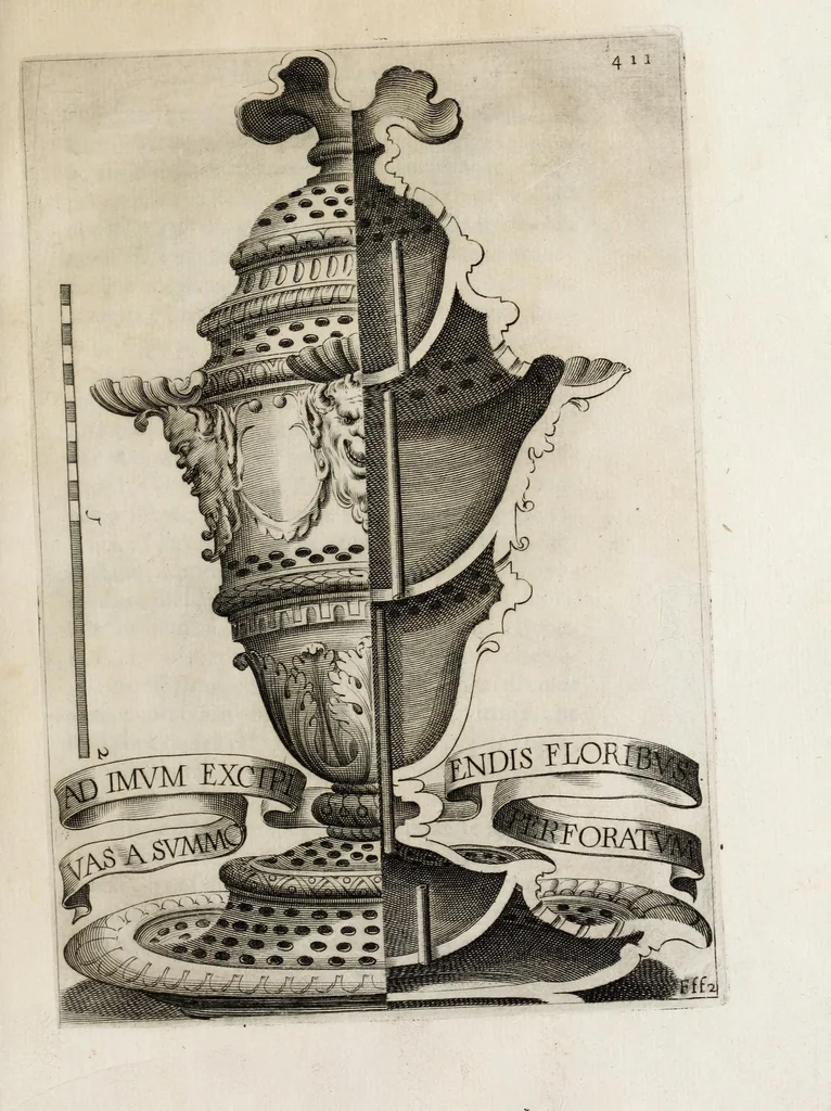 An illustration from Flora, ouero, Cultura di fiori, 1638, leaf 431