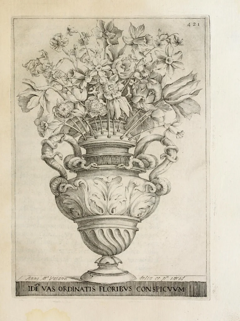An illustration from Flora, ouero, Cultura di fiori, 1638, leaf 441
