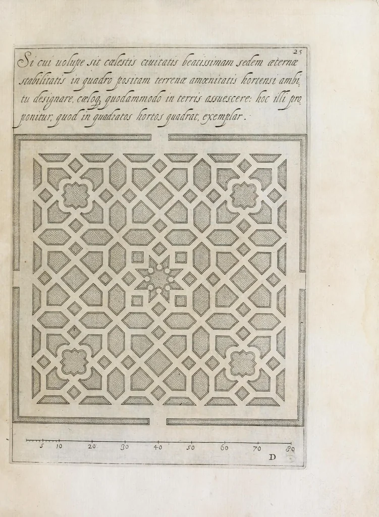 An illustration from Flora, ouero, Cultura di fiori, 1638, leaf 45