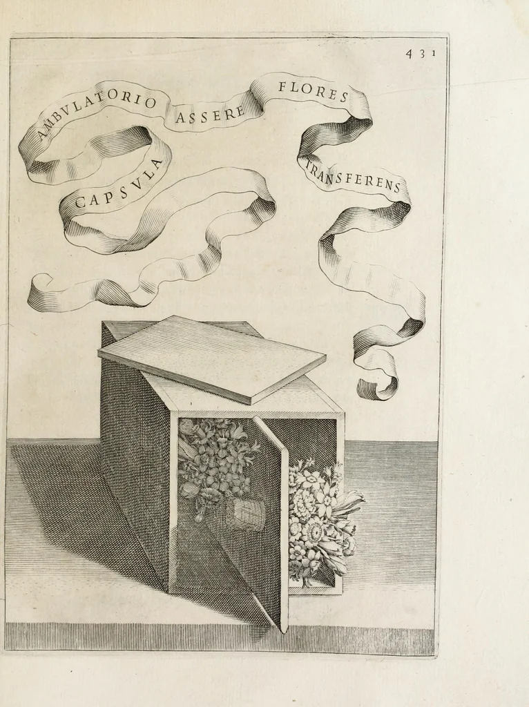 An illustration from Flora, ouero, Cultura di fiori, 1638, leaf 451