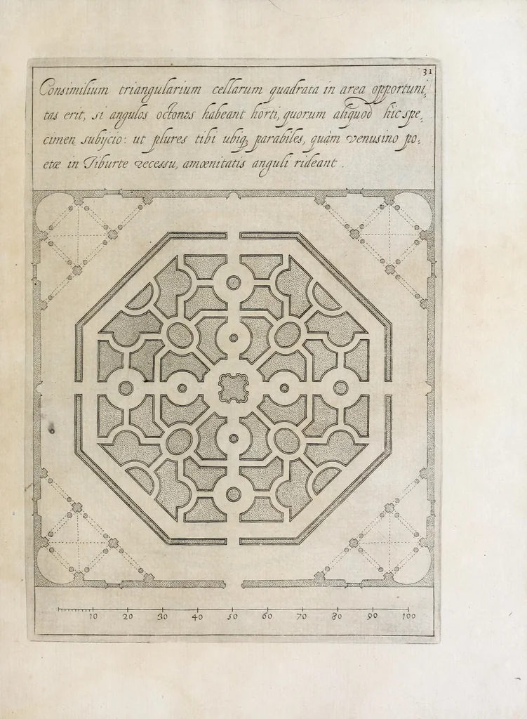 An illustration from Flora, ouero, Cultura di fiori, 1638, leaf 51