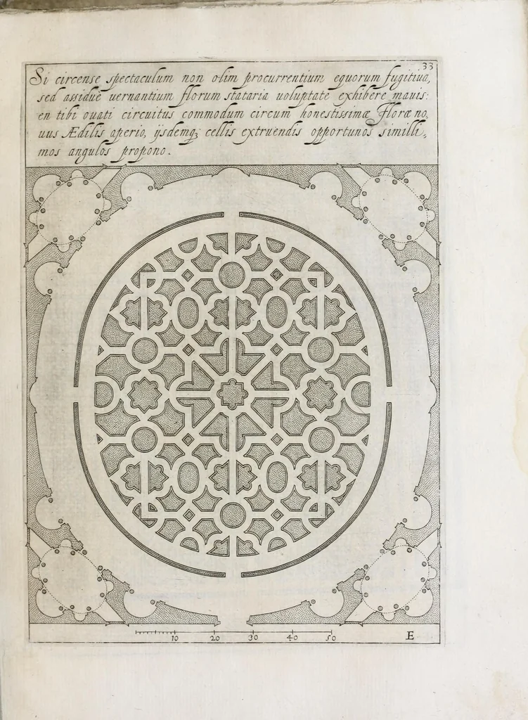 An illustration from Flora, ouero, Cultura di fiori, 1638, leaf 53