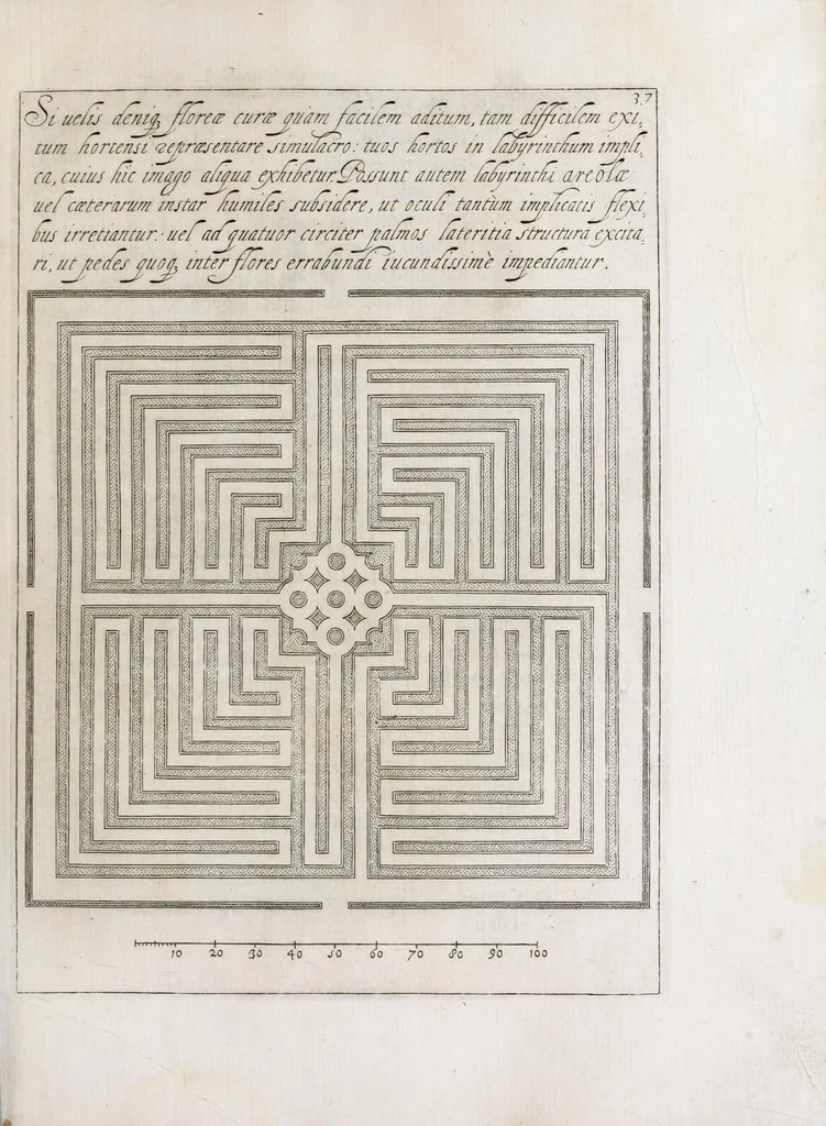 An illustration from Flora, ouero, Cultura di fiori, 1638, leaf 57
