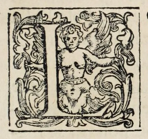 An illustration from Flora, ouero, Cultura di fiori, 1638, leaf 7