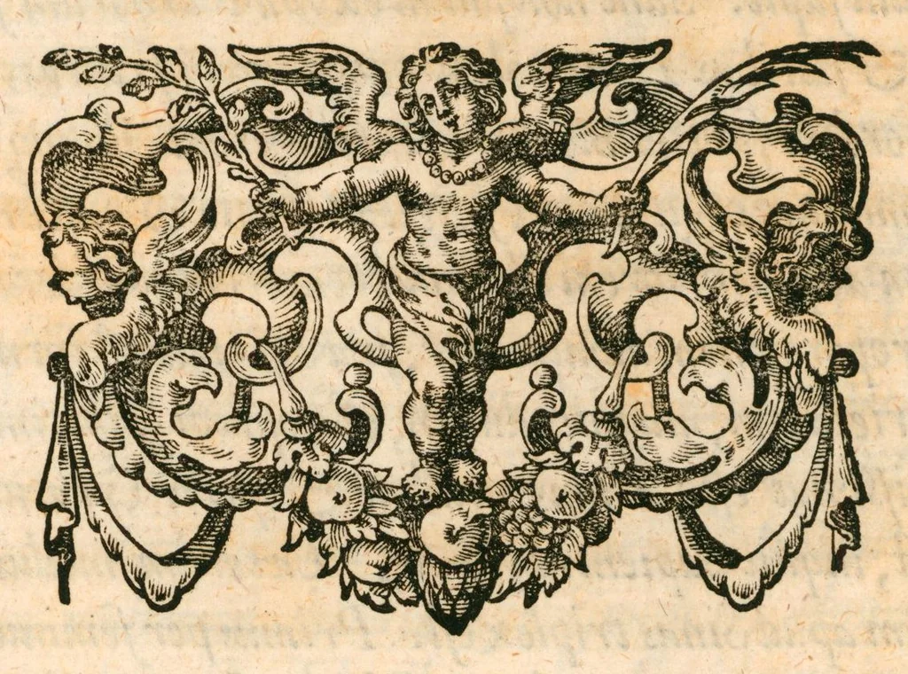 An illustration from Flora sinensis : fructus floresque humillime porrigens, serenissimo et potentissimo principi, ac domino, domino Leopoldo Ignatio, Hungariae regi florentissimo, &c. : fructus saeculo promittenti Augustissimos, 1656, leaf 24