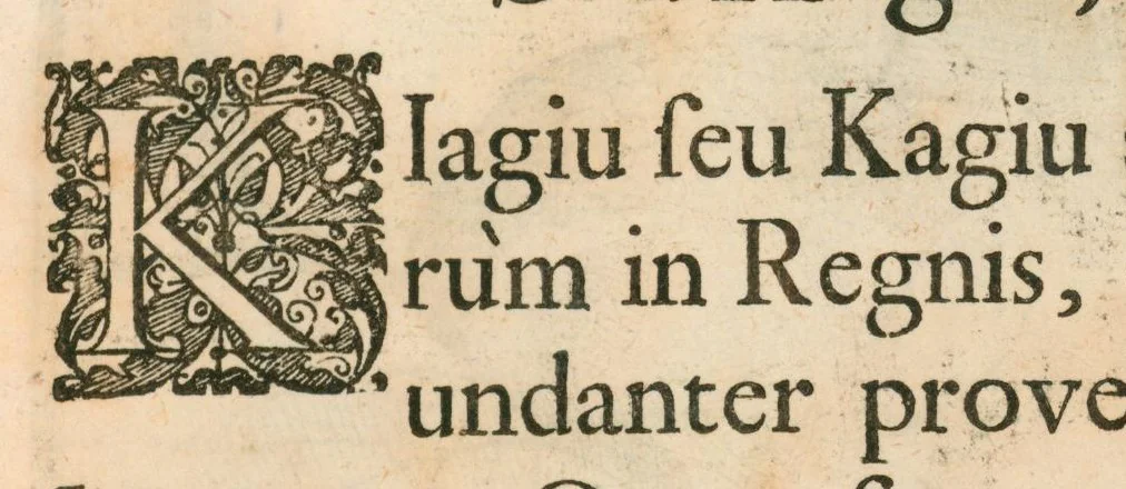 An illustration from Flora sinensis : fructus floresque humillime porrigens, serenissimo et potentissimo principi, ac domino, domino Leopoldo Ignatio, Hungariae regi florentissimo, &c. : fructus saeculo promittenti Augustissimos, 1656, leaf 35