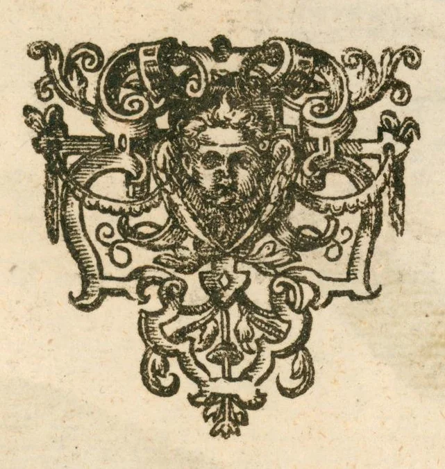 An illustration from Flora sinensis : fructus floresque humillime porrigens, serenissimo et potentissimo principi, ac domino, domino Leopoldo Ignatio, Hungariae regi florentissimo, &c. : fructus saeculo promittenti Augustissimos, 1656, leaf 51
