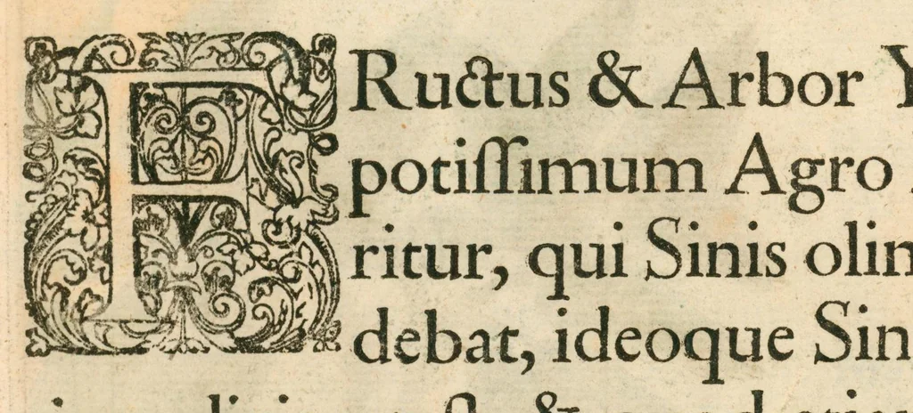 An illustration from Flora sinensis : fructus floresque humillime porrigens, serenissimo et potentissimo principi, ac domino, domino Leopoldo Ignatio, Hungariae regi florentissimo, &c. : fructus saeculo promittenti Augustissimos, 1656, leaf 53