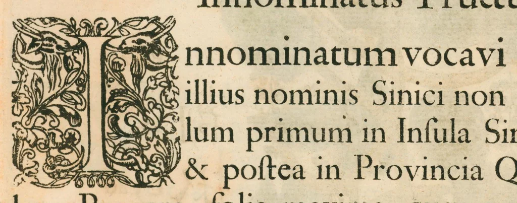 An illustration from Flora sinensis : fructus floresque humillime porrigens, serenissimo et potentissimo principi, ac domino, domino Leopoldo Ignatio, Hungariae regi florentissimo, &c. : fructus saeculo promittenti Augustissimos, 1656, leaf 57