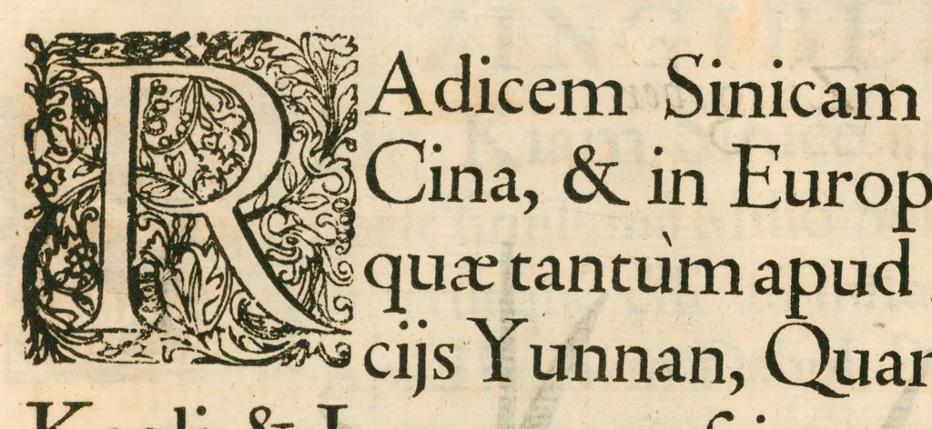 An illustration from Flora sinensis : fructus floresque humillime porrigens, serenissimo et potentissimo principi, ac domino, domino Leopoldo Ignatio, Hungariae regi florentissimo, &c. : fructus saeculo promittenti Augustissimos, 1656, leaf 63
