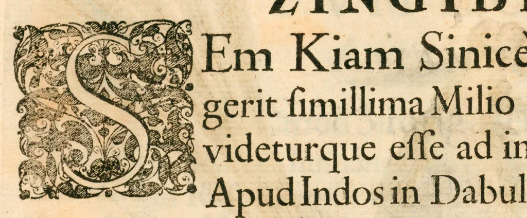 An illustration from Flora sinensis : fructus floresque humillime porrigens, serenissimo et potentissimo principi, ac domino, domino Leopoldo Ignatio, Hungariae regi florentissimo, &c. : fructus saeculo promittenti Augustissimos, 1656, leaf 65