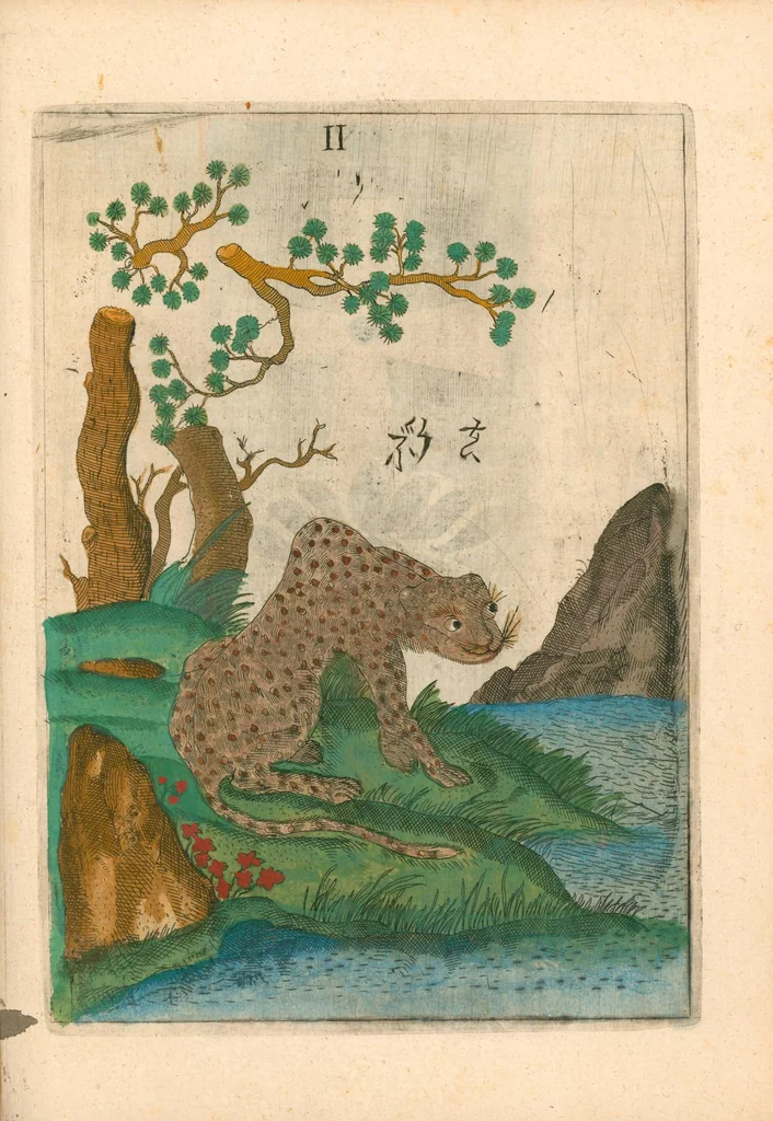 An illustration from Flora sinensis : fructus floresque humillime porrigens, serenissimo et potentissimo principi, ac domino, domino Leopoldo Ignatio, Hungariae regi florentissimo, &c. : fructus saeculo promittenti Augustissimos, 1656, leaf 75