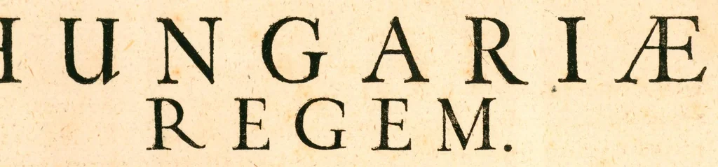 An illustration from Flora sinensis : fructus floresque humillime porrigens, serenissimo et potentissimo principi, ac domino, domino Leopoldo Ignatio, Hungariae regi florentissimo, &c. : fructus saeculo promittenti Augustissimos, 1656, leaf 81