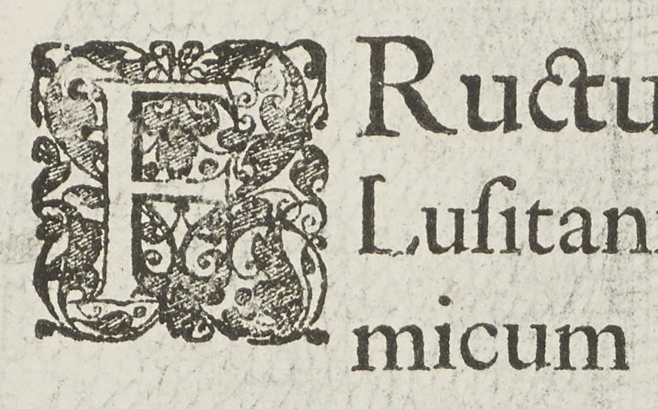 An illustration from Flora sinensis, fructus floresque humillime porrigens serenissimo et potentissimo Leopoldo Ignatio, Hungariae regi florentissimo, &c. Fructus saecul promittenti Augustissimos, 1656, leaf 43