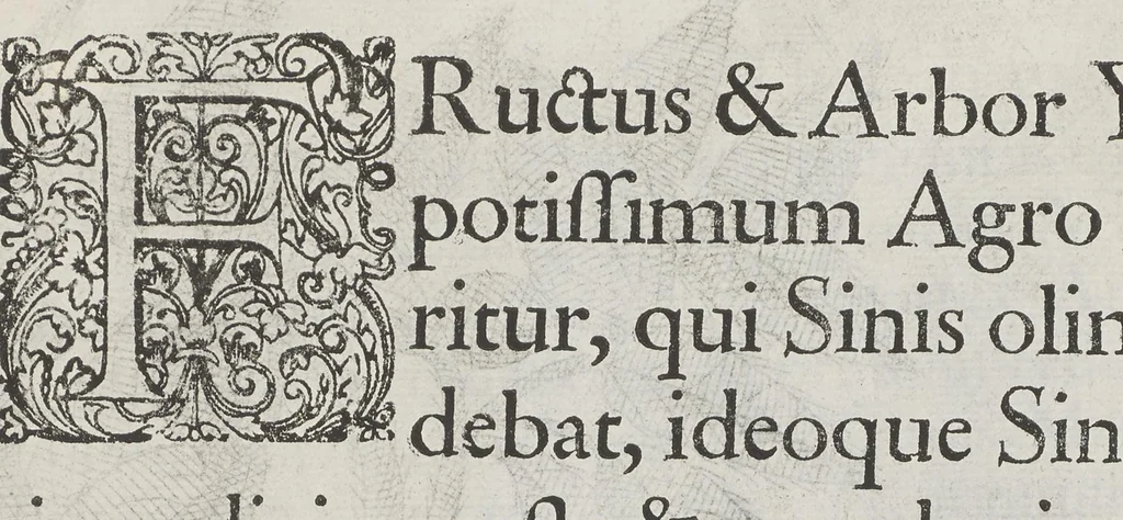 An illustration from Flora sinensis, fructus floresque humillime porrigens serenissimo et potentissimo Leopoldo Ignatio, Hungariae regi florentissimo, &c. Fructus saecul promittenti Augustissimos, 1656, leaf 49