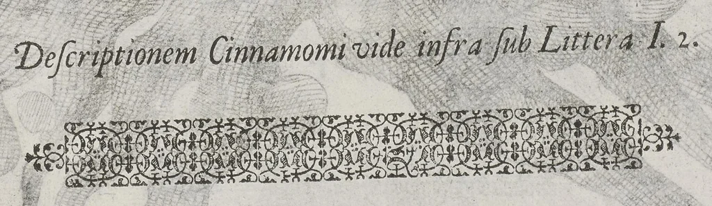 An illustration from Flora sinensis, fructus floresque humillime porrigens serenissimo et potentissimo Leopoldo Ignatio, Hungariae regi florentissimo, &c. Fructus saecul promittenti Augustissimos, 1656, leaf 51