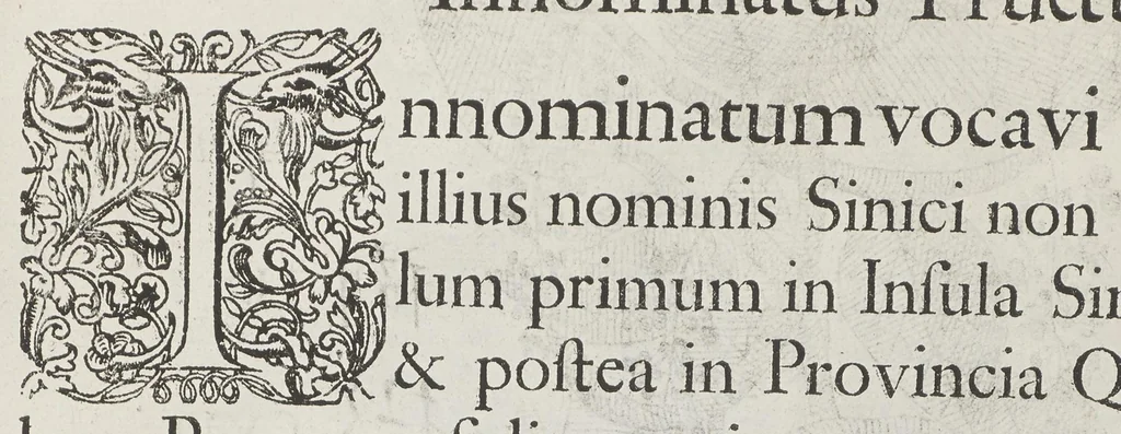 An illustration from Flora sinensis, fructus floresque humillime porrigens serenissimo et potentissimo Leopoldo Ignatio, Hungariae regi florentissimo, &c. Fructus saecul promittenti Augustissimos, 1656, leaf 53