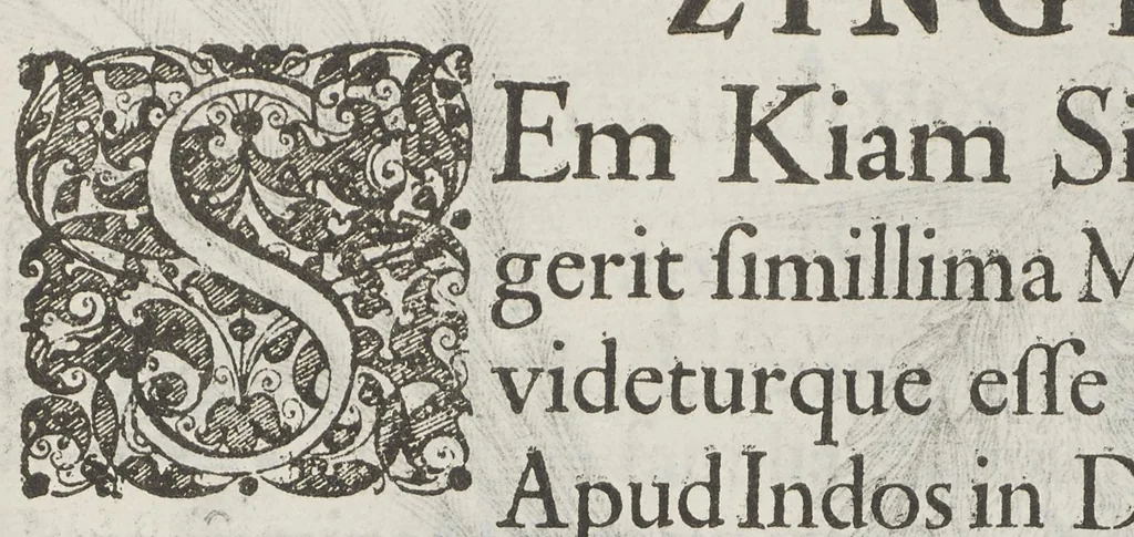 An illustration from Flora sinensis, fructus floresque humillime porrigens serenissimo et potentissimo Leopoldo Ignatio, Hungariae regi florentissimo, &c. Fructus saecul promittenti Augustissimos, 1656, leaf 61