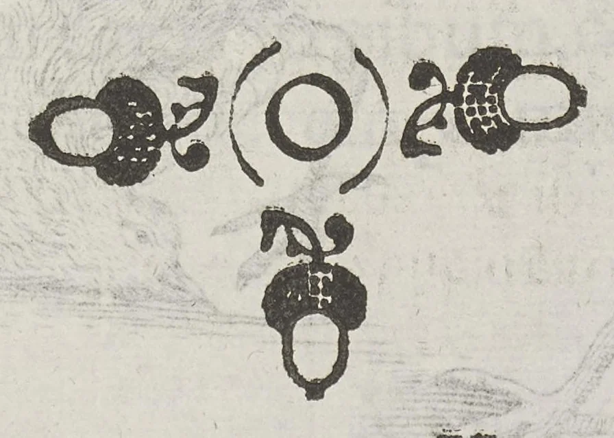 An illustration from Flora sinensis, fructus floresque humillime porrigens serenissimo et potentissimo Leopoldo Ignatio, Hungariae regi florentissimo, &c. Fructus saecul promittenti Augustissimos, 1656, leaf 61