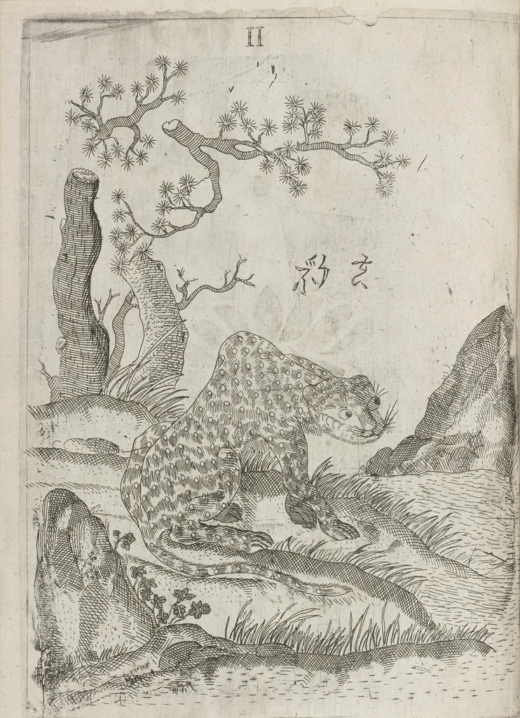 An illustration from Flora sinensis, fructus floresque humillime porrigens serenissimo et potentissimo Leopoldo Ignatio, Hungariae regi florentissimo, &c. Fructus saecul promittenti Augustissimos, 1656, leaf 72