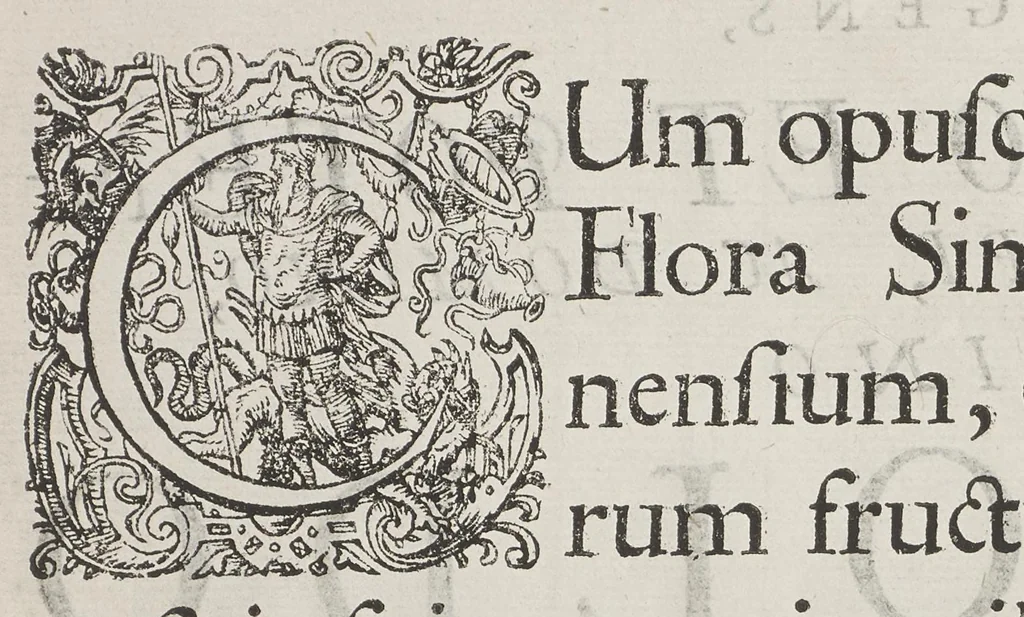 An illustration from Flora sinensis, fructus floresque humillime porrigens serenissimo et potentissimo Leopoldo Ignatio, Hungariae regi florentissimo, &c. Fructus saecul promittenti Augustissimos, 1656, leaf 8