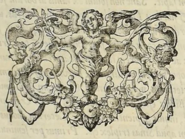 An illustration from Flora sinensis : fructus floresque humillime porrigens serenissiomo et potentissimo Leopoldo Ignatio, Hungariae regi florentissimo, &c. Fructus saecul promittenti Augustissimos, 1656, leaf 20