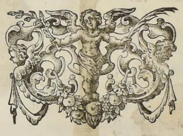 An illustration from Flora sinensis : fructus floresque humillime porrigens serenissiomo et potentissimo Leopoldo Ignatio, Hungariae regi florentissimo, &c. Fructus saecul promittenti Augustissimos, 1656, leaf 41