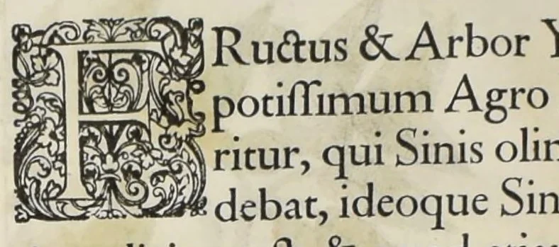 An illustration from Flora sinensis : fructus floresque humillime porrigens serenissiomo et potentissimo Leopoldo Ignatio, Hungariae regi florentissimo, &c. Fructus saecul promittenti Augustissimos, 1656, leaf 49