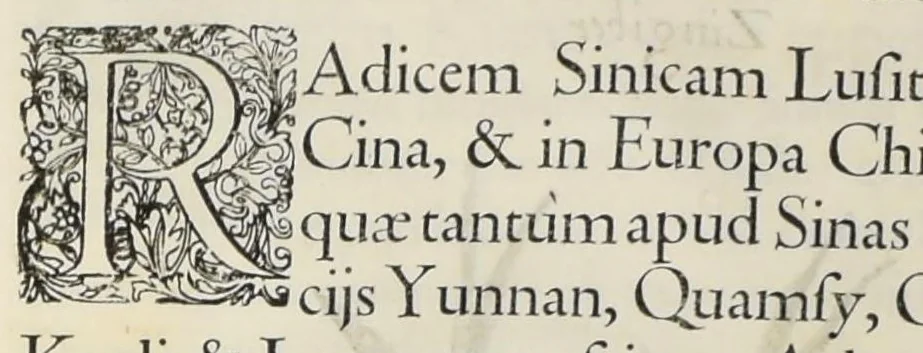 An illustration from Flora sinensis : fructus floresque humillime porrigens serenissiomo et potentissimo Leopoldo Ignatio, Hungariae regi florentissimo, &c. Fructus saecul promittenti Augustissimos, 1656, leaf 59