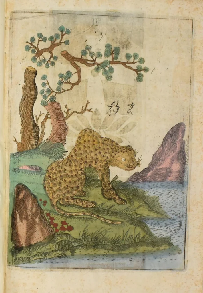 An illustration from Flora sinensis : fructus floresque humillime porrigens serenissiomo et potentissimo Leopoldo Ignatio, Hungariae regi florentissimo, &c. Fructus saecul promittenti Augustissimos, 1656, leaf 71