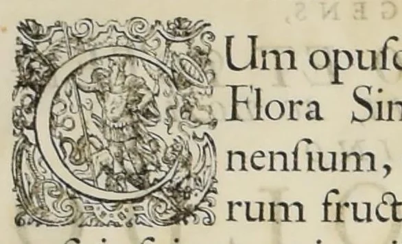 An illustration from Flora sinensis : fructus floresque humillime porrigens serenissiomo et potentissimo Leopoldo Ignatio, Hungariae regi florentissimo, &c. Fructus saecul promittenti Augustissimos, 1656, leaf 8