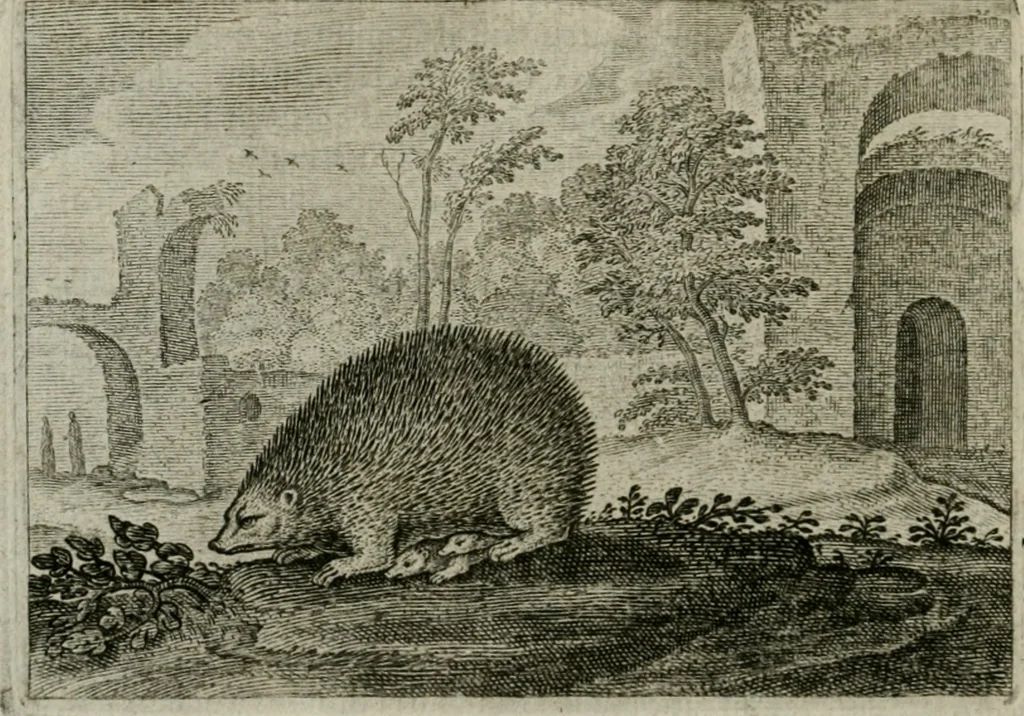 An illustration from Emblemata Florentii Schoonhovii I.C. Goudani, partim moralia partim etiam civilia : cum latiori eorundem ejusdem auctoris intepretatione : accedunt et alia quaedam poëmatia in alijs poëmatum suorum libris non contenta, 1648, leaf 103